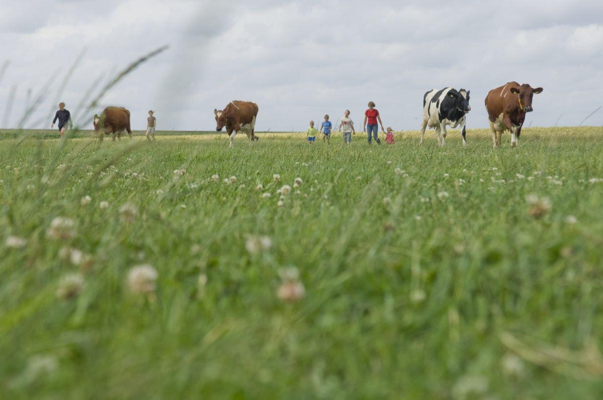 Urlaub auf dem Bauernhof
