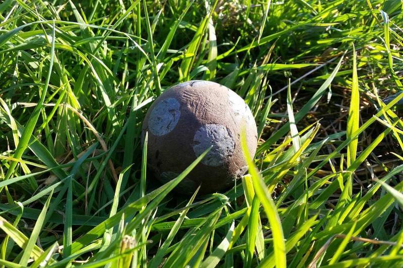 Kugel beim Boßeln | © Tourismus und Stadtmarketing Husum GmbH