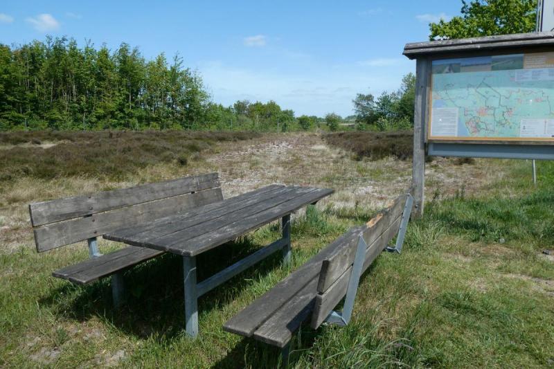 Picknickplatz am Schobüller Wald | © Tourismus und Stadtmarketing Husum GmbH