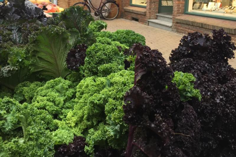 Grünkohl - traditionelles Gericht zur Biike | © Tourismus und Stadtmarketing Husum GmbH