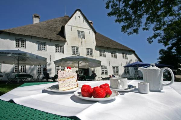 Tierfreundliche Restaurants