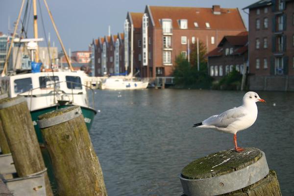 Gezeiten / Tidenkalender