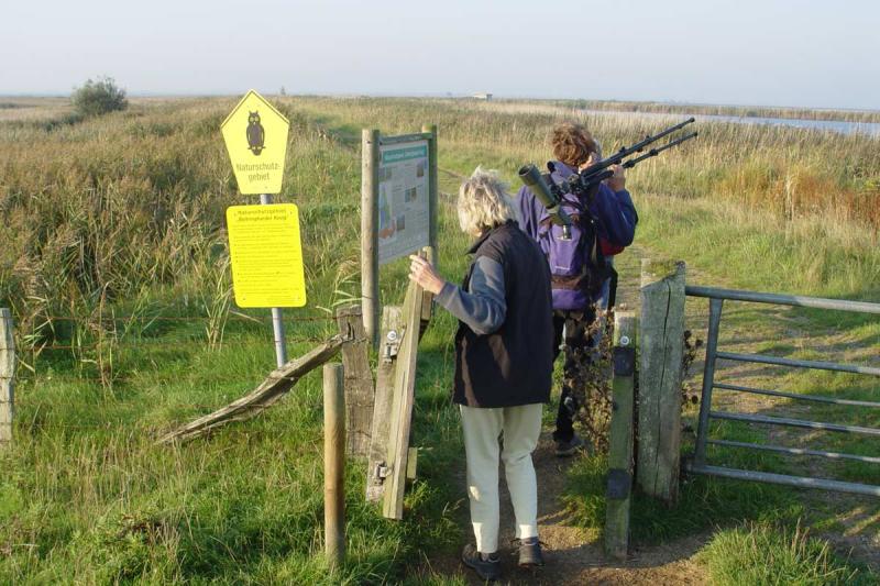 Beltringharder Koog | © Eke Ejgelaar