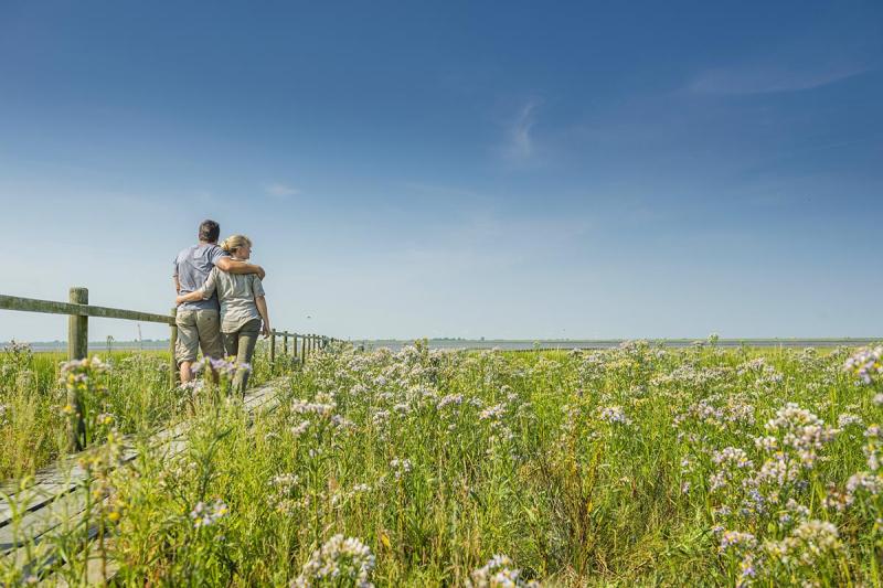 Natur in Schobüll | © Foto Oliver Franke