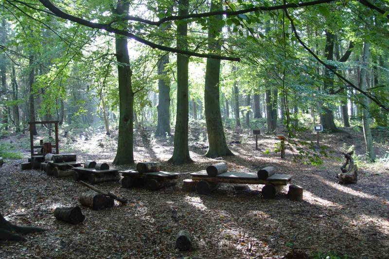 Mildstedter Tannen | © Eke Eijgelaar