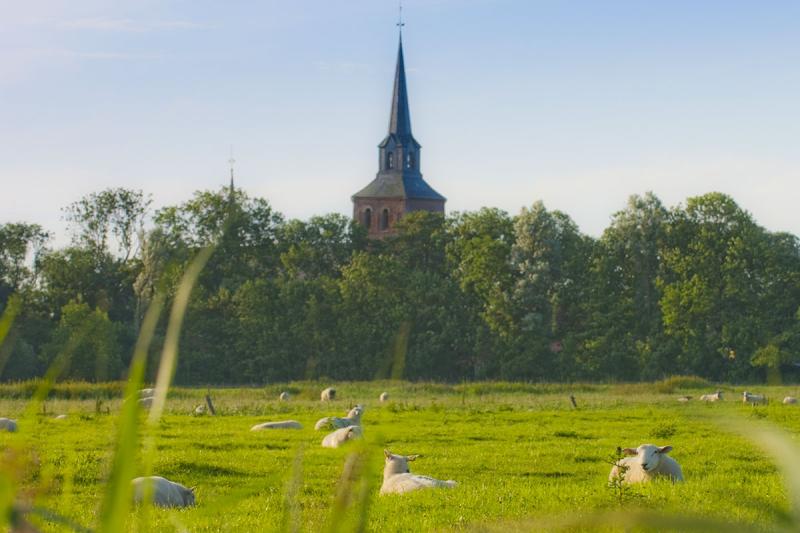 Kirchturm in Oldenswort | © Foto Oliver Franke