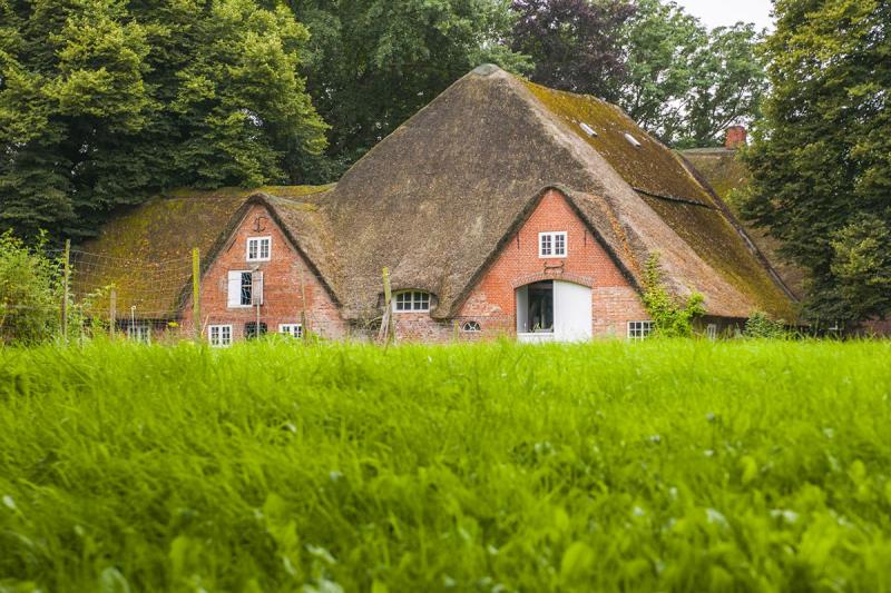 Reetdachhaus in der Südermarsch | © Foto Oliver Franke