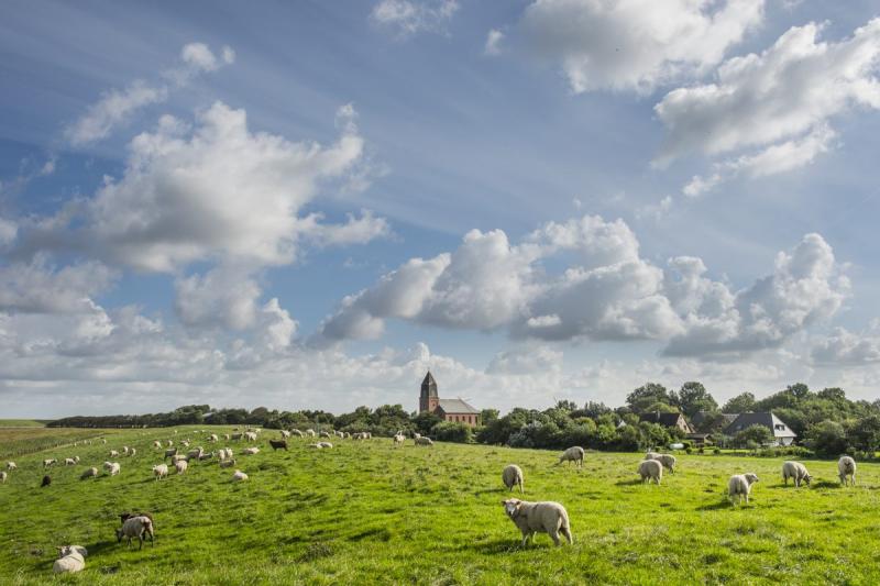 Blick auf Uelvesbüll | © Foto Oliver Franke