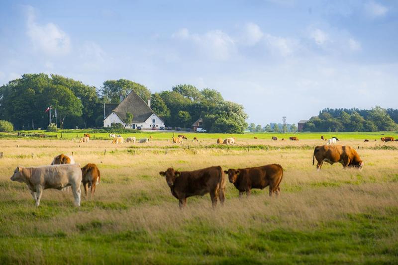 Roter Haubarg vor Landschaft | © Foto Oliver Franke