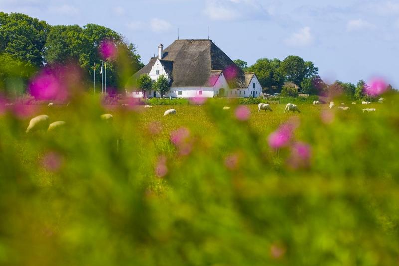 Der Rote Haubarg in Witzwort | © Foto Oliver Franke