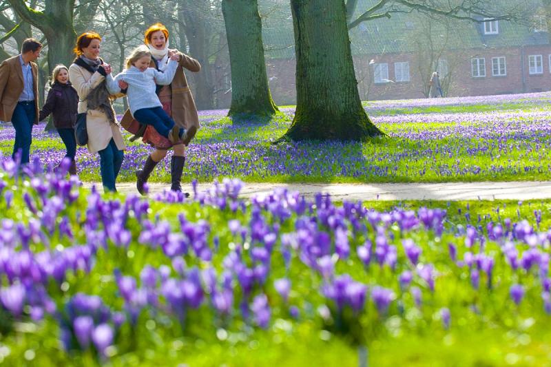 Familien-Spaziergang zur Krokusblüte | © Foto Oliver Franke