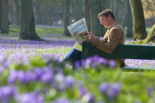 Mann_Lesend_Zeitung_Krokus