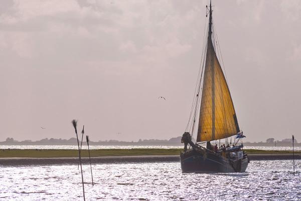 Mehr über den Nationalpark Wattenmeer erfahren