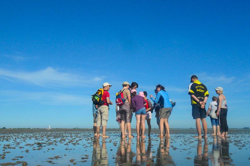 Wattspaziergang in der Husumer Bucht | © Tourismus und Stadtmarketing Husum GmbH