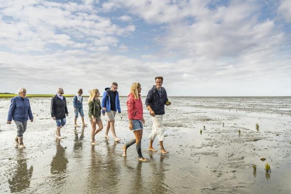 Wattwanderung_August2018 (MICE)