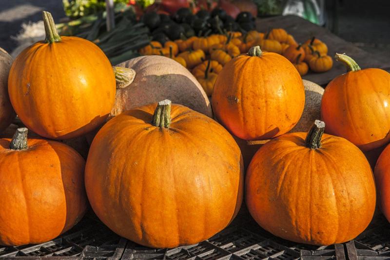 Kürbisse auf dem Husumer Wochenmarkt | © Foto Oliver Franke