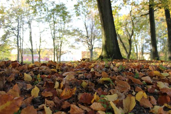 Husum im Herbst