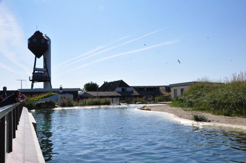 Dauerhaltungsbecken in der Seehundstation Friedrichskoog | © Seehundstation Friedrichskoog e.V.