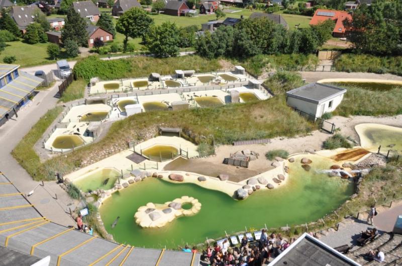 Seehundstation Friedrichskoog, Blick Aufzuchtbecken | © Seehundstation Friedrichskoog e.V.