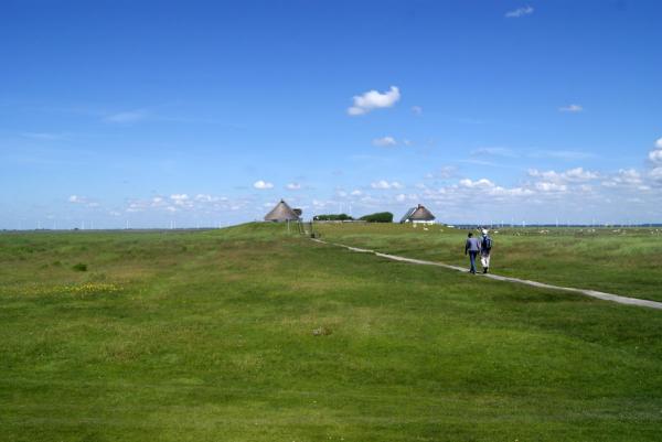 Hamburger Hallig