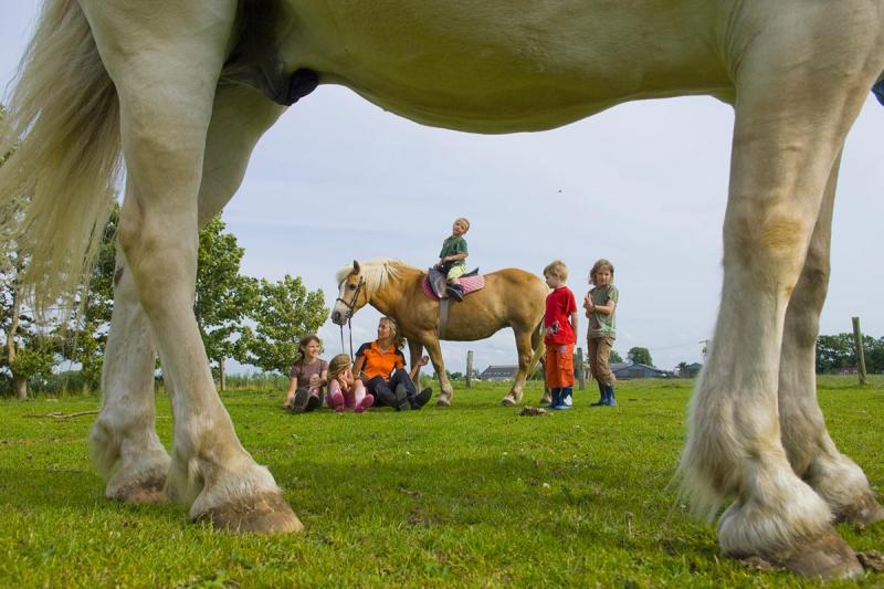 Urlaub auf dem Bauernhof, Ponyreiten | © Foto Oliver Franke