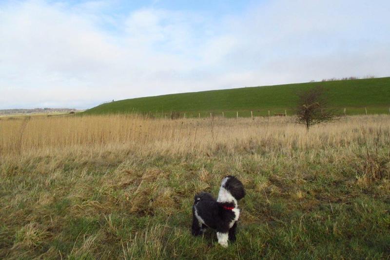 Mit dem Hund an der Nordsee | © Burkhard Kantel