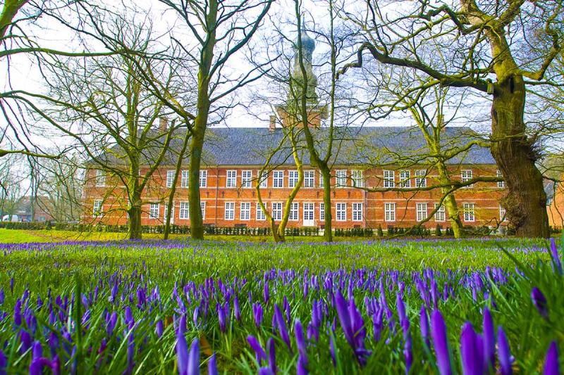 Krokusse vor Schloss | © Foto Oliver Franke