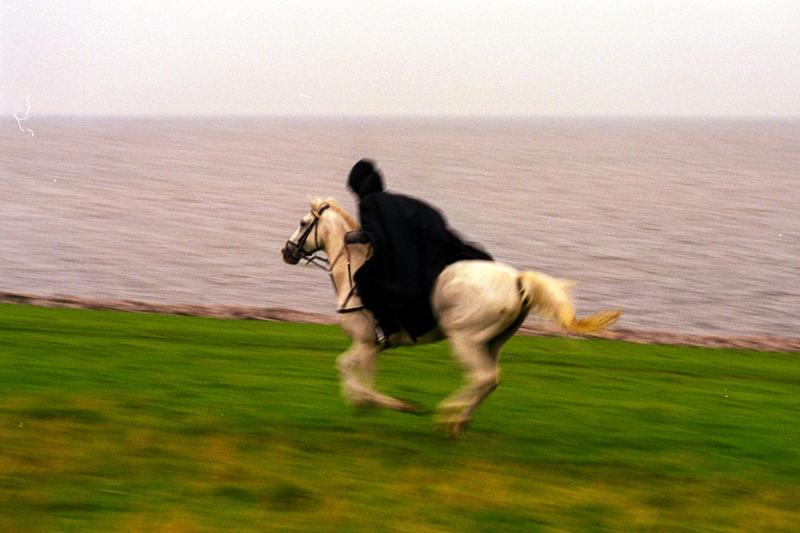 Storms Schimmelreiter | © Uta Knizia