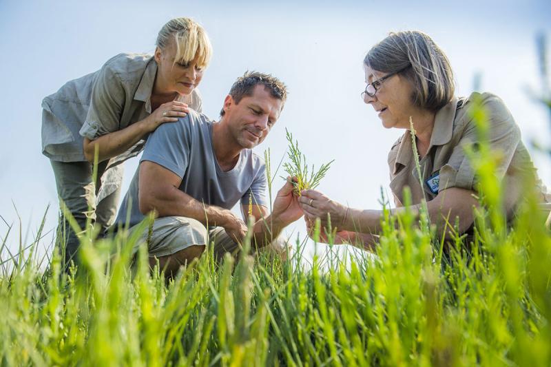 Wildkräuter-Führung in der Natur | © Foto Oliver Franke
