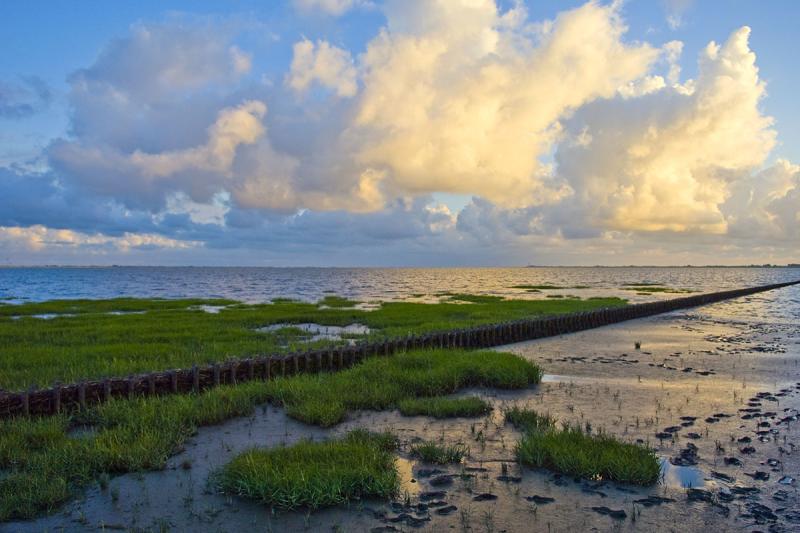 UNESCO Weltnaturerbe Wattenmeer | © Foto Oliver Franke