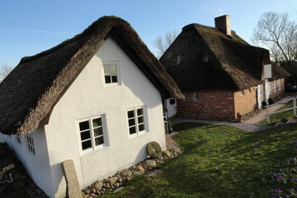 Ferienhaus mit Reetdach