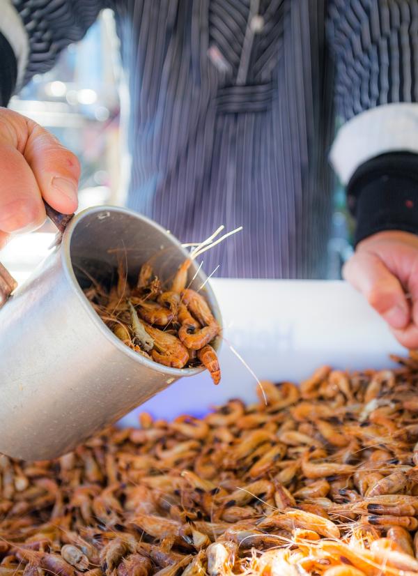 Frische Krabben in Husum