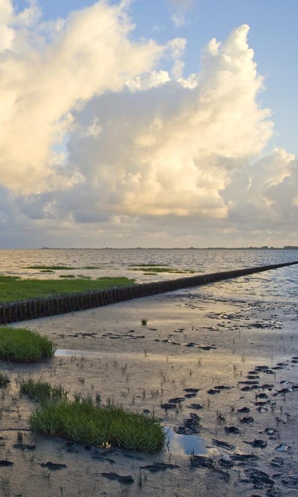Wattenmeer