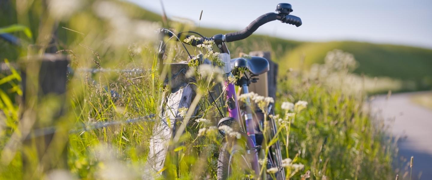 Fahrradtour am Deich