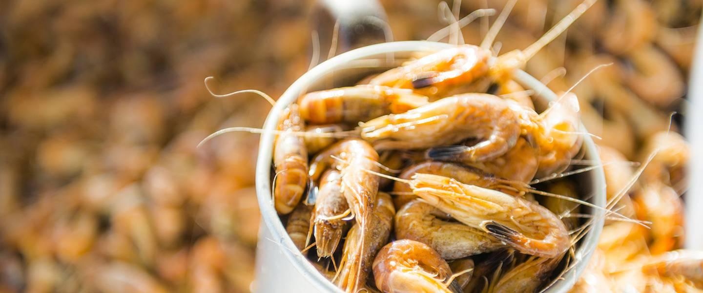 Frische Nordsee-Krabben