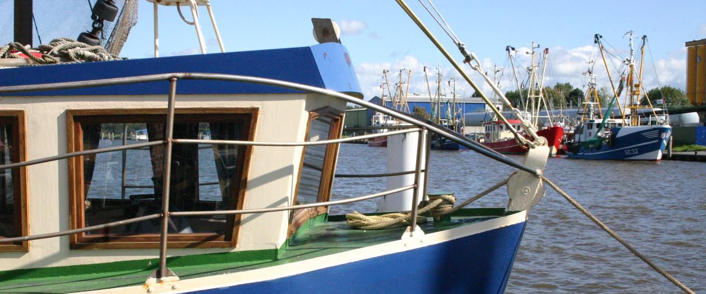 Husumer Krabbenkutter