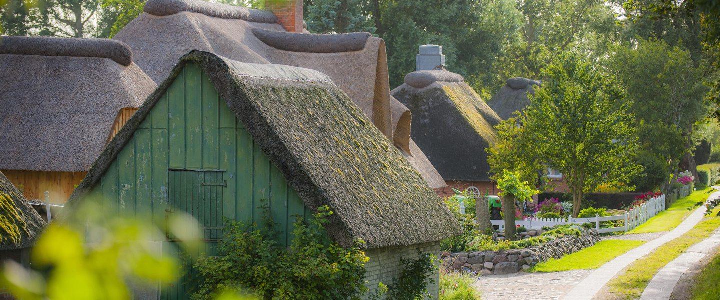 Reetdachhäuser in der Husumer Bucht