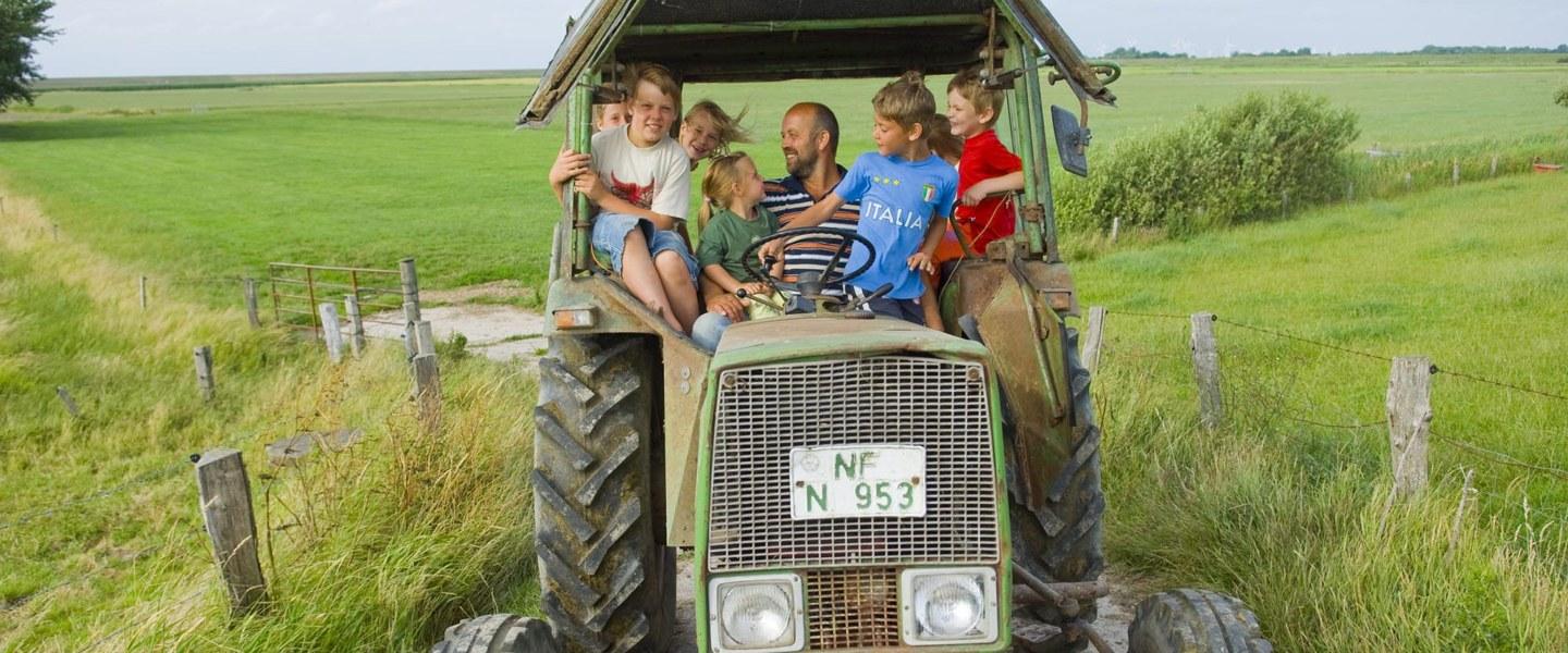 Urlaub auf dem Bauernhof, Husumer Bucht