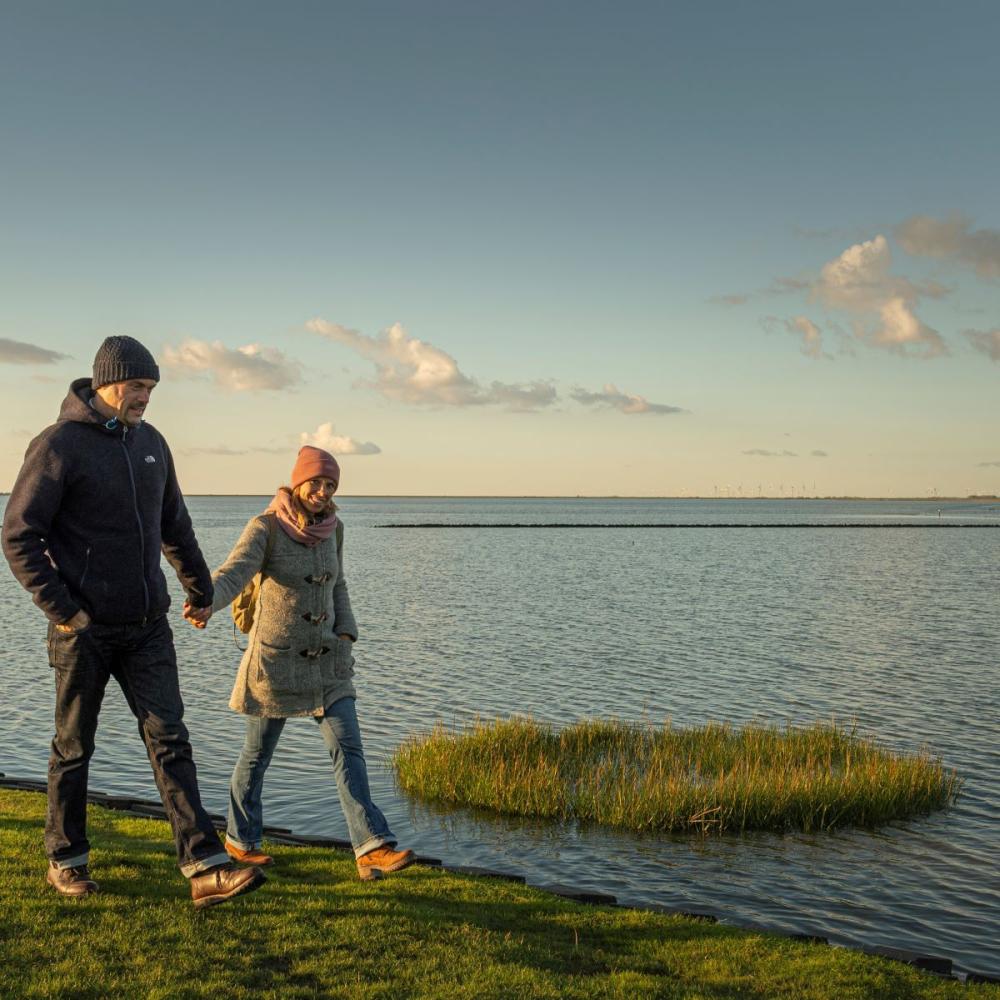 Spazieren am Dockkoog macht den Kopf frei