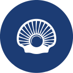 Icon Muschel