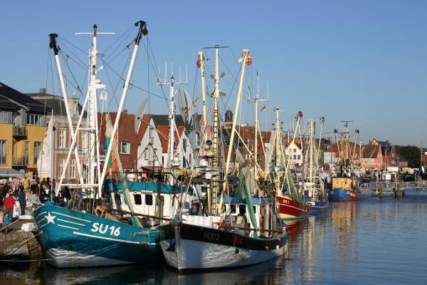 Hafenkulisse während der Husumer Krabbentage