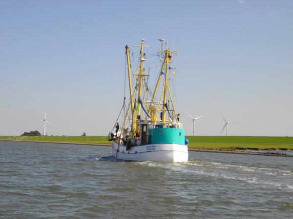 Ausfahrt Krabbenkutter