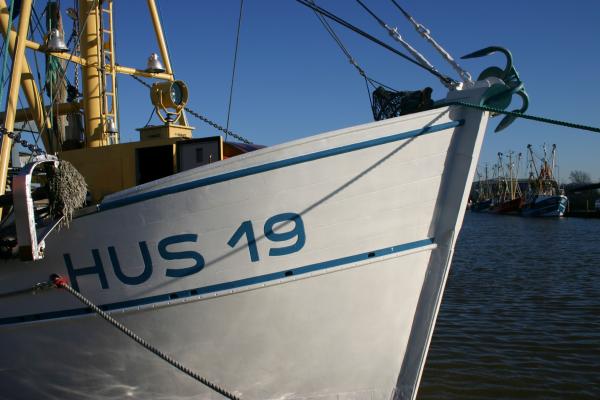 Krabbenkutter im Husumer Hafen