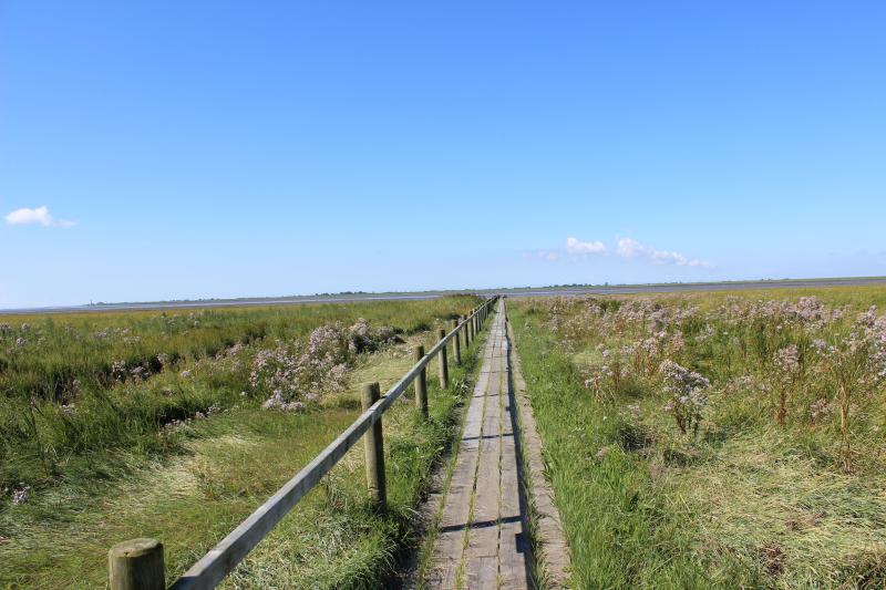 Blick auf das Wattenmeer, Husum, Stadtteil Schobüll